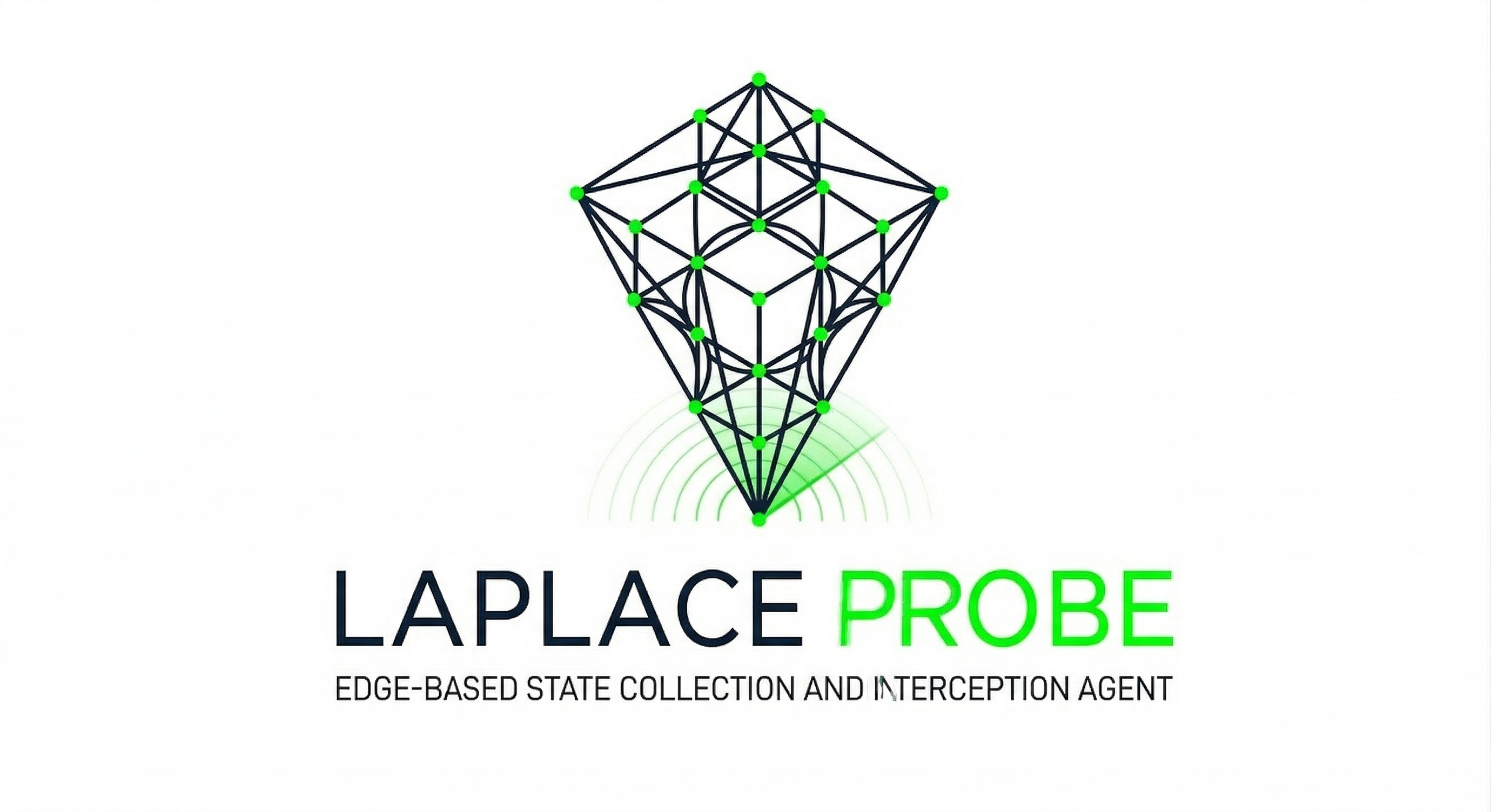 Probe